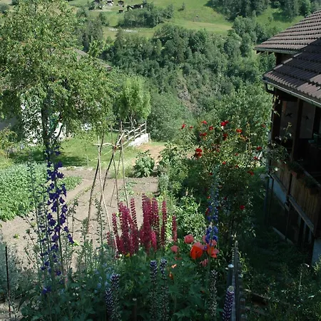 Charming Near Trails Chalet