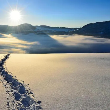 Charming Near Trails Mörel