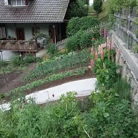 Charming Near Trails * Mörel